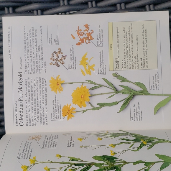 Book - Picture 3 of 4